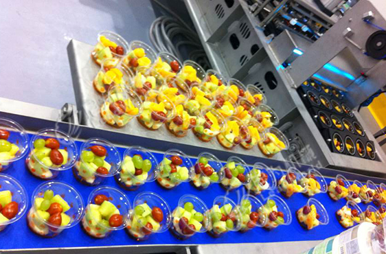 尼為機械鮮切凈菜加工生產(chǎn)線